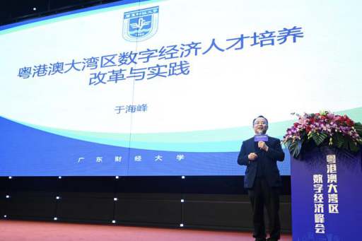 2019年经济大湾区总量是多少_粤港澳大湾区图片(2)