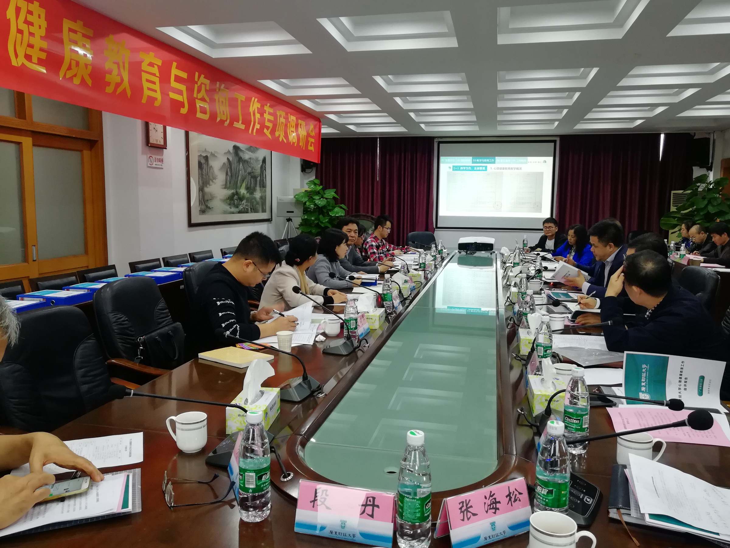 心理健康教育与咨询工作专项调研会