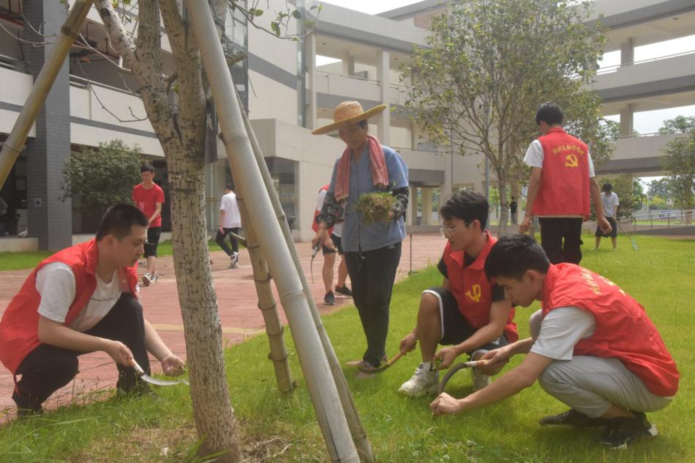 统计与数学学院学生党员“校园护绿”行动