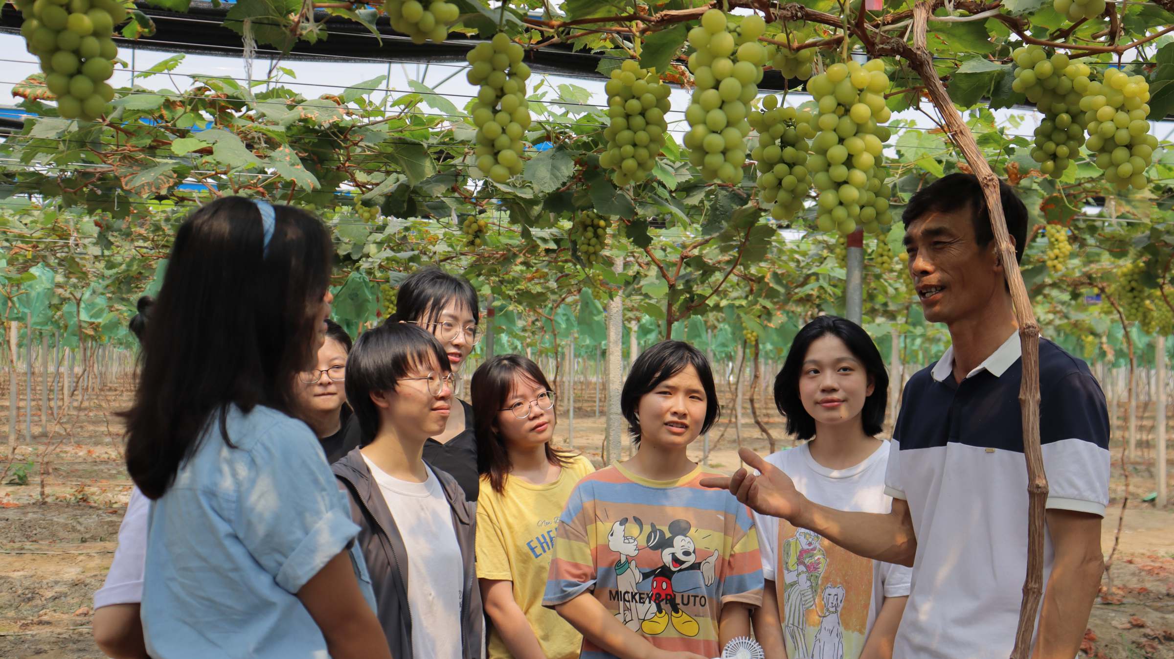 “康庄大队”在中社村葡萄园调研