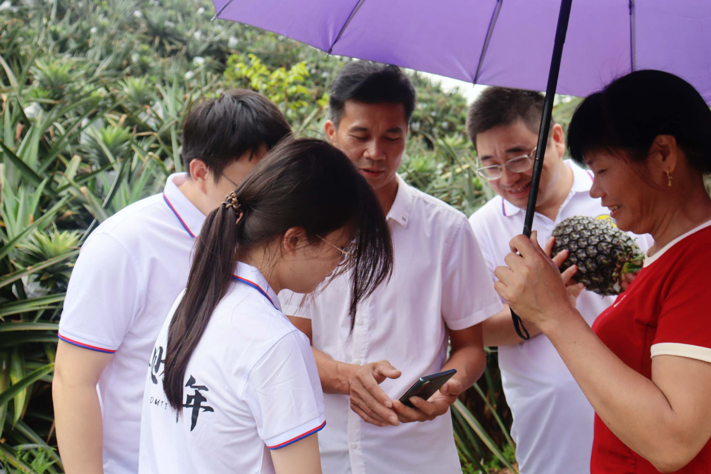 师生实践团在惠来县凤梨省级现代农业产业园和农户交流