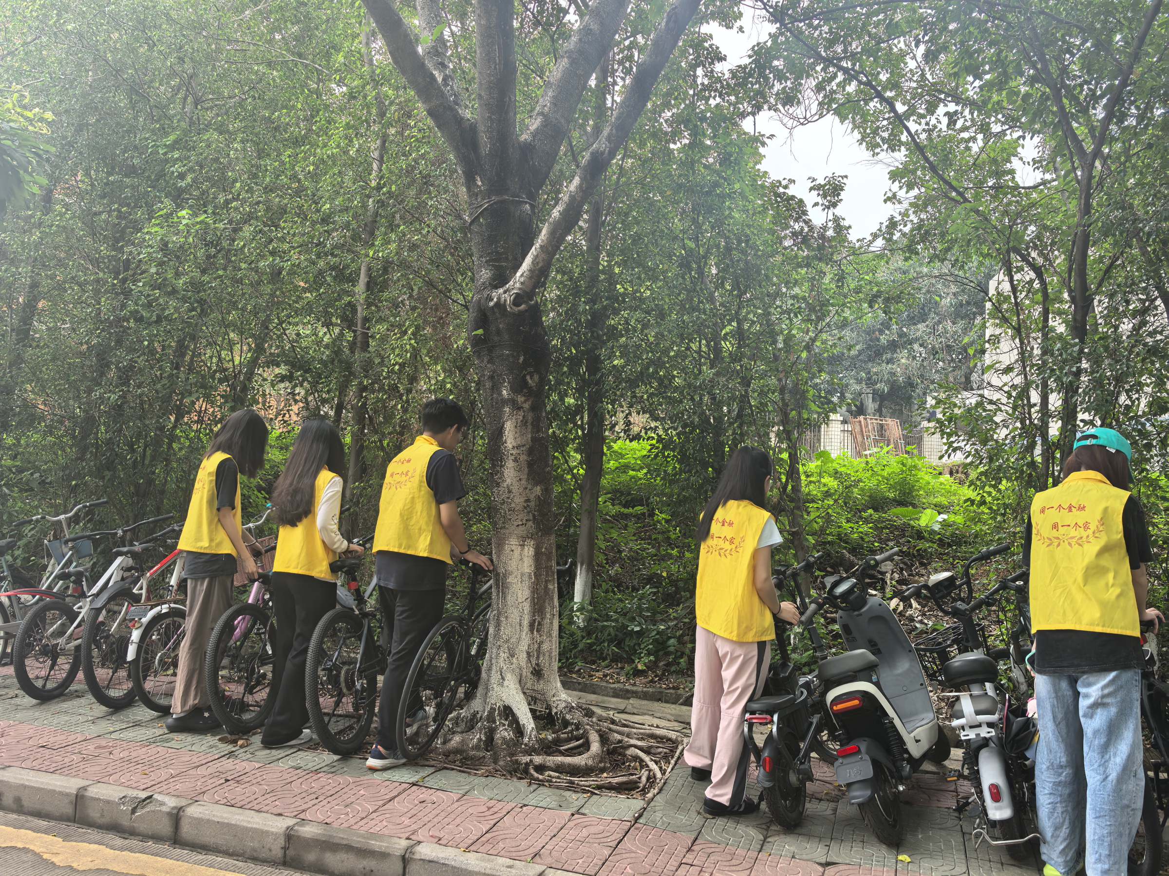 “规范停车,你我同行”志愿服务活动