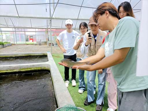 我校17支队伍获团省委表彰